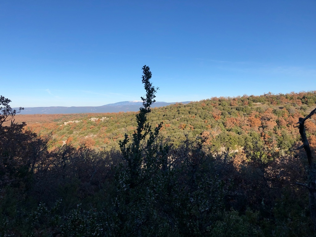 Reconnaissance de Ste Anne 