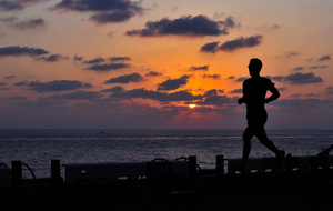 Vacances pas de séances coachées. Sortie à organiser via WhatsApp